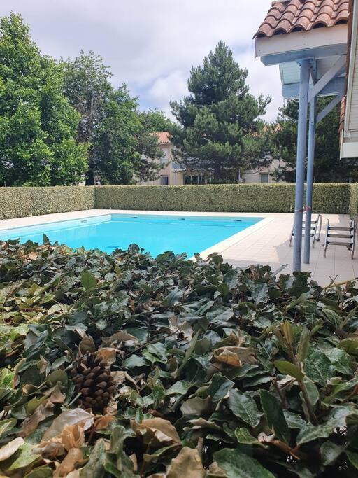 Mignon Appartement En Residence Avec Piscine Biscarrosse Eksteriør billede